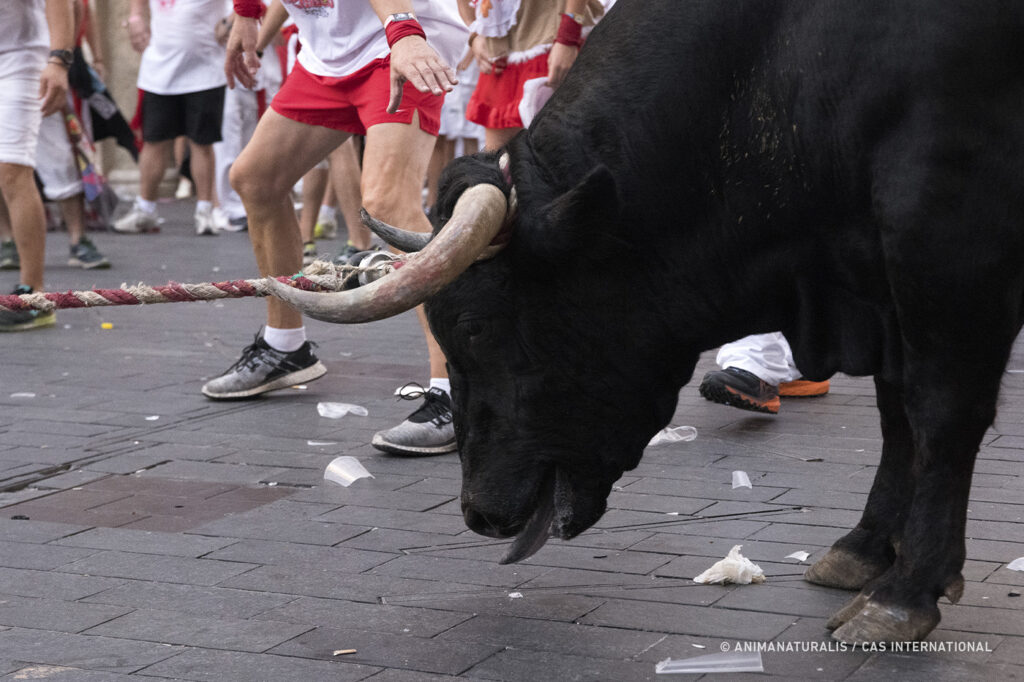 Spaanse fiestas