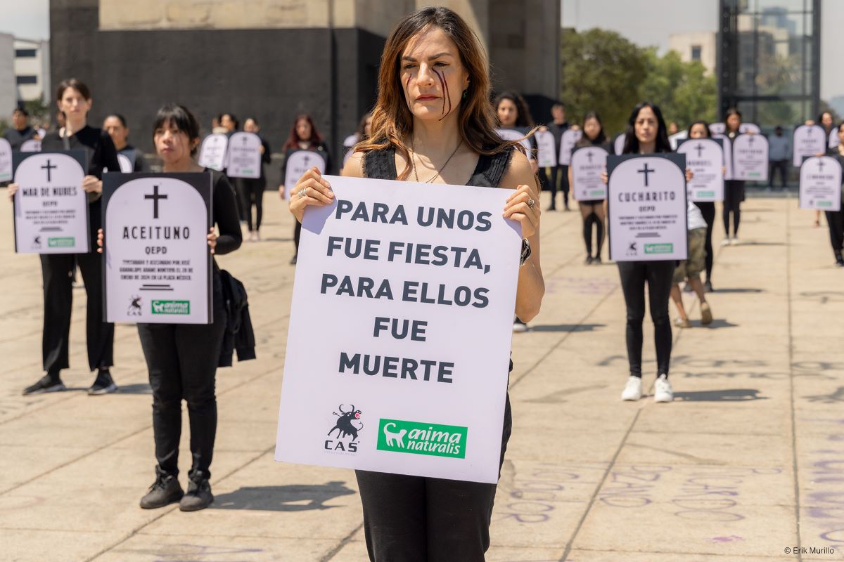 Conmemoración