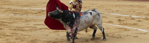Colombia prohíbe las corridas de toros