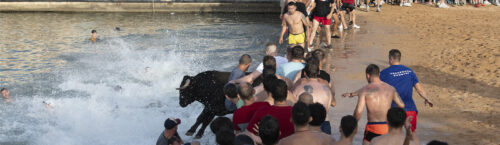 Bous a la Mar