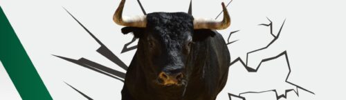 Mexico-Stad verbiedt traditionele stierengevechten