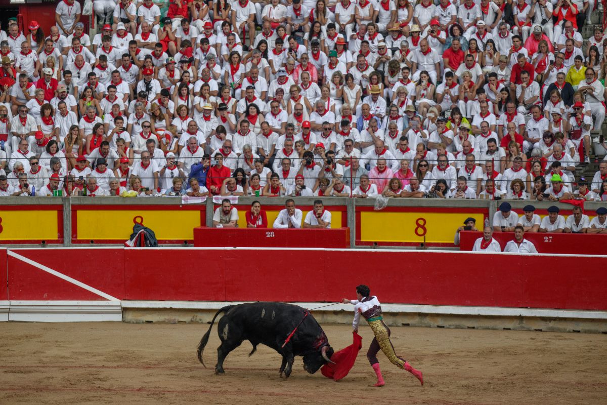 Report: The tragic fate of the bulls in Pamplona