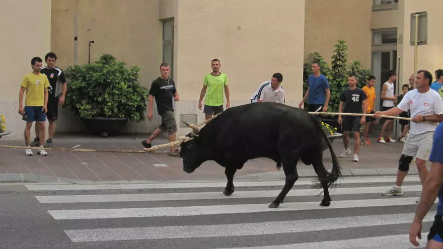 Five complaints filed against bull festivals in L’Aldea, Spain