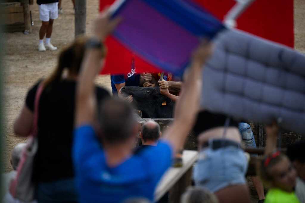 Toch is het de activisten gelukt om het evenement te filmen.