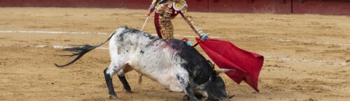 Petición: ¡No más subvenciones agrícolas europeas para la tauromaquia!