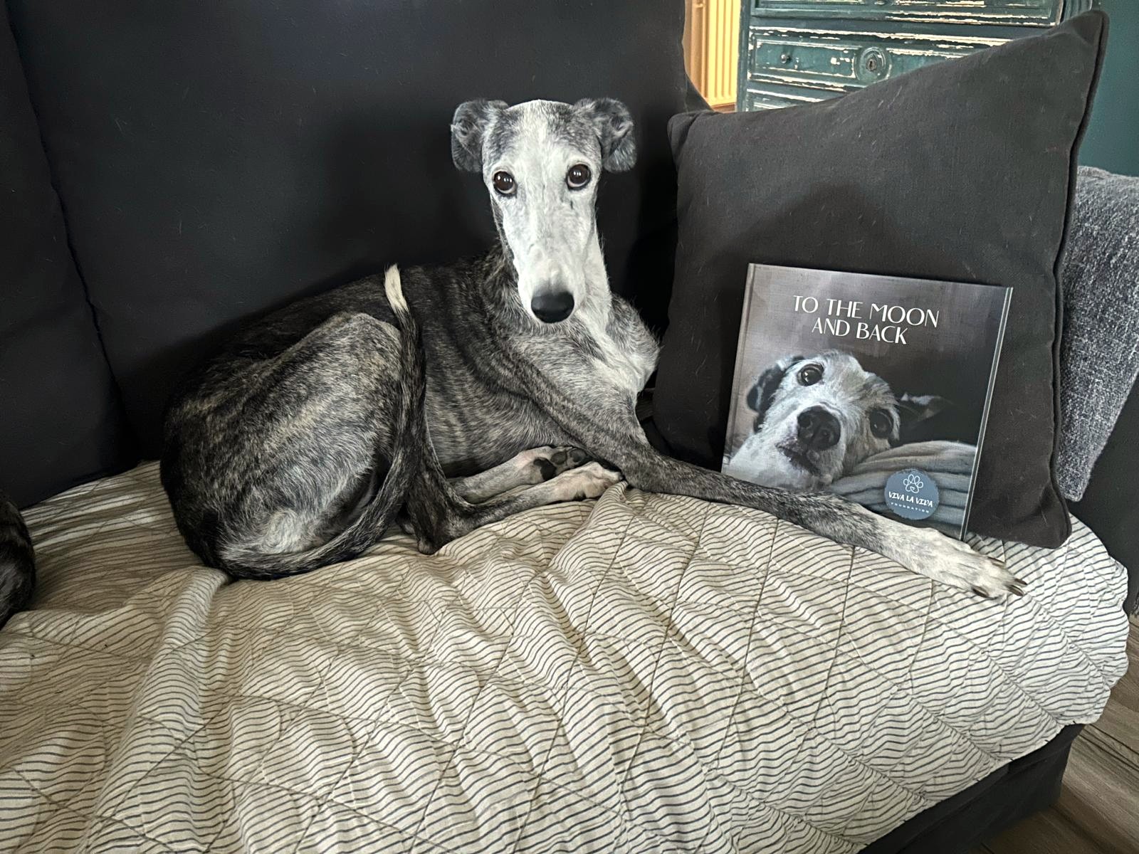 To the moon and back, Viva la Vida Foundation