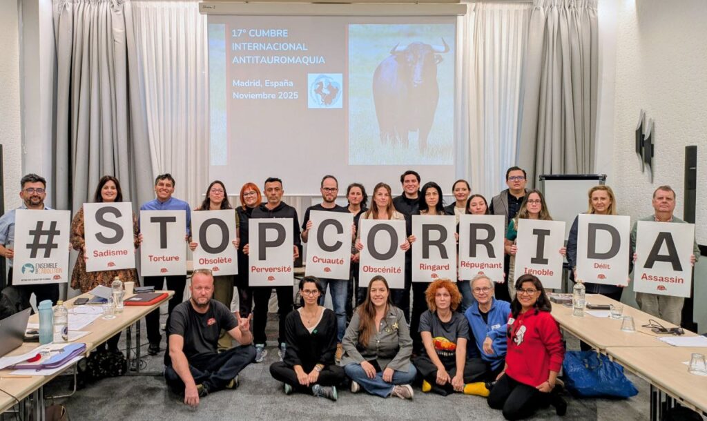 Stop corrida, stop stierenvechten | Foto: Internationale Netwerk tegen Stierenvechten