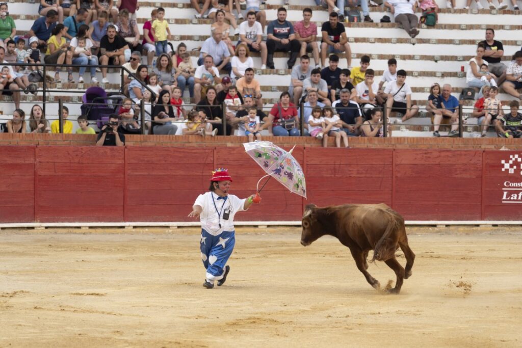 Spain bans bullfighting involving people with disabilities