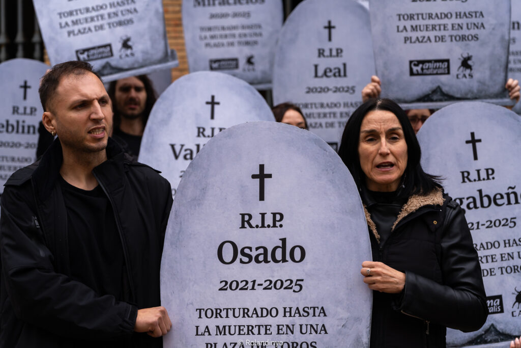 Voor deze actie hielden 140 mensen borden vast die grafstenen voorstelden met de namen van de stieren die het afgelopen jaar in Spanje zijn gedood