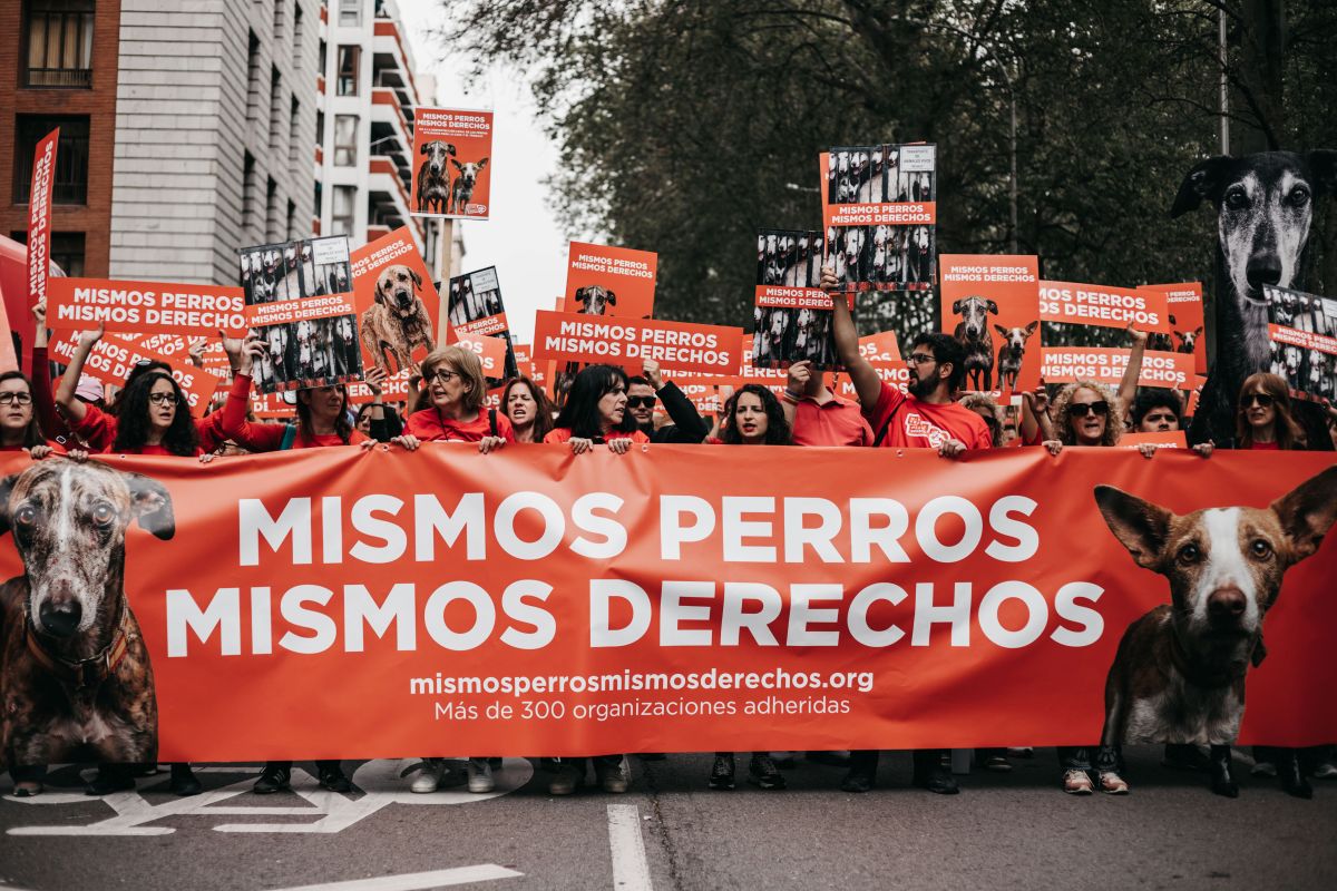 Protesta contra la exclusión de los perros de caza en normativa española
