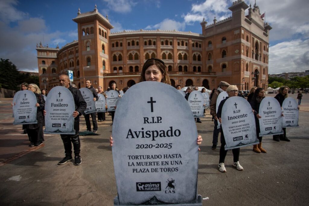 Protest with 100 gravestones at Madrid bullring