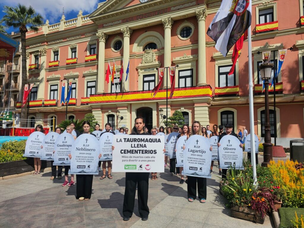 Protest tegen stierenvechten in Murcia, Spanje
